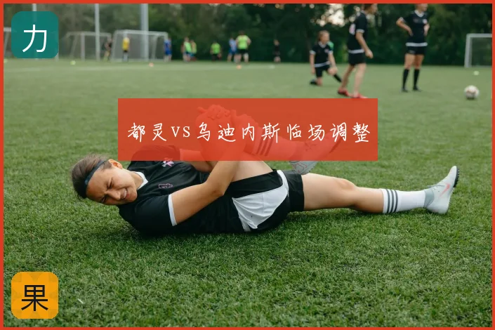 都灵vs乌迪内斯临场调整